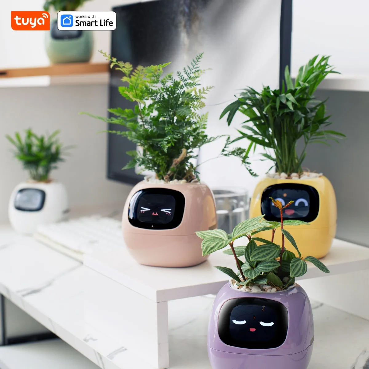 Tuya Smart Ivy Planter with AI Sensors