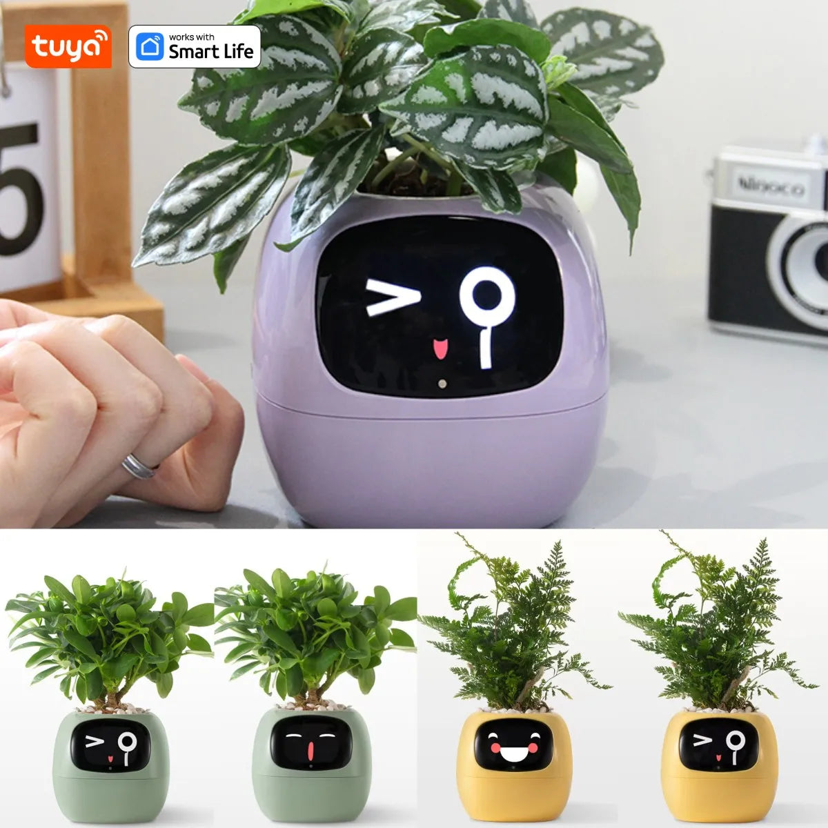 Tuya Smart Ivy Planter with AI Sensors