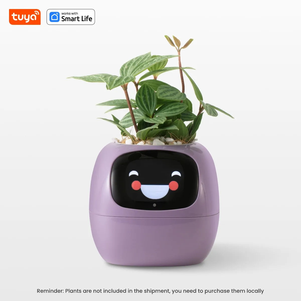 Tuya Smart Ivy Planter with AI Sensors