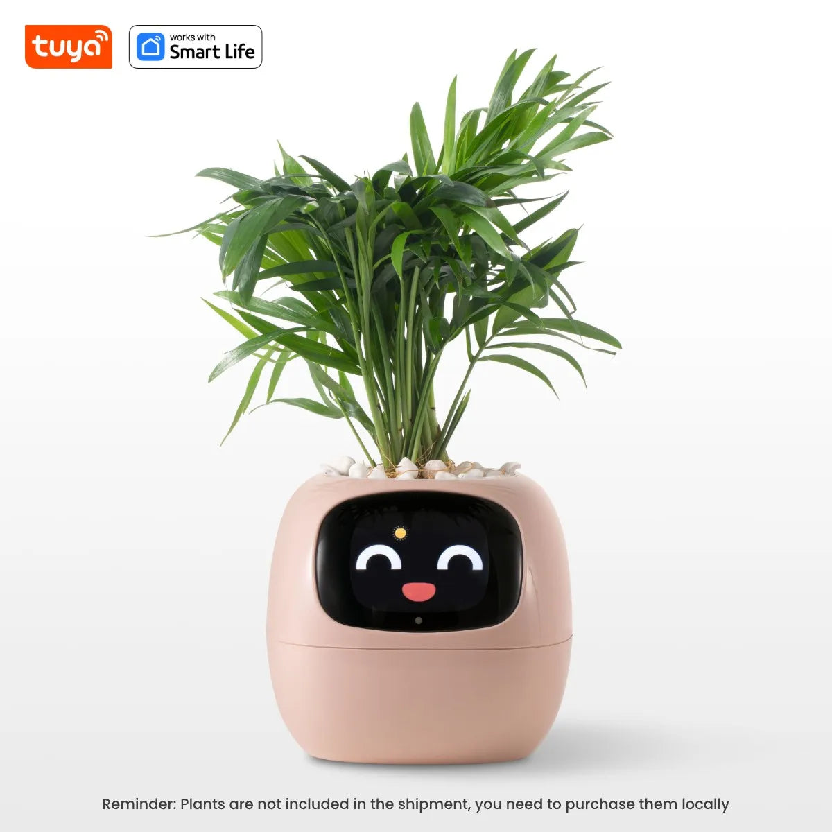 Tuya Smart Ivy Planter with AI Sensors