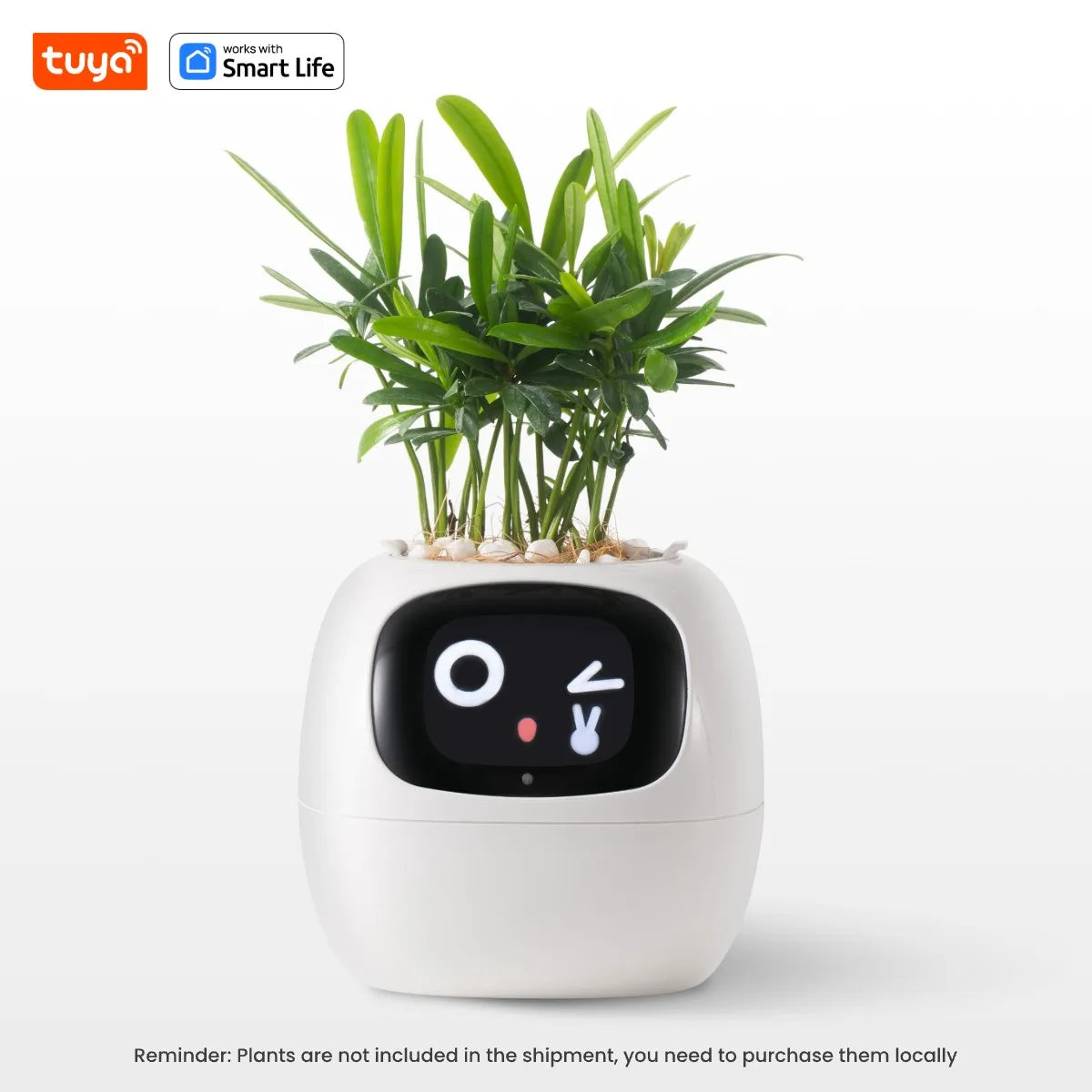 Tuya Smart Ivy Planter with AI Sensors