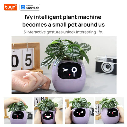 Tuya Smart Ivy Planter with AI Sensors