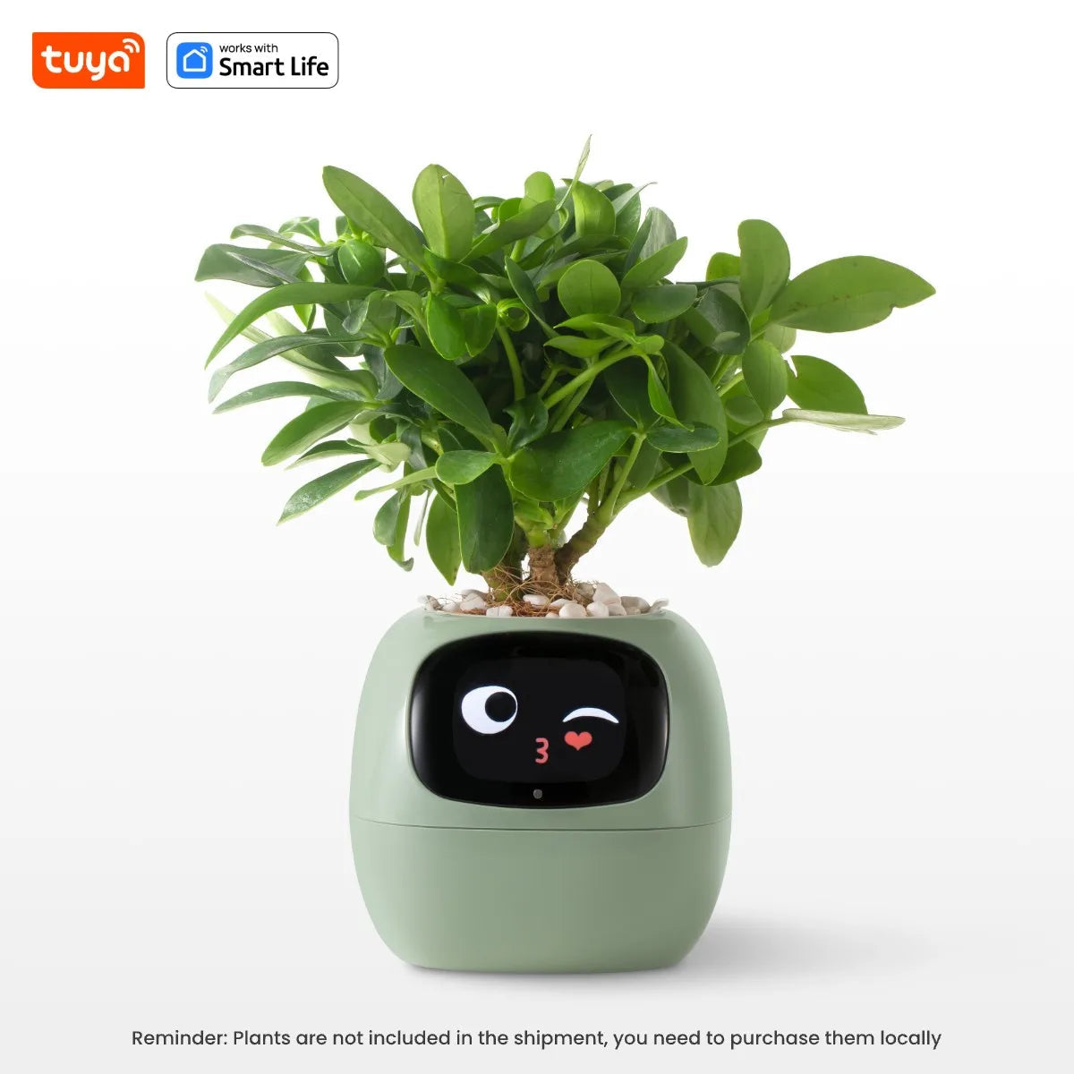 Tuya Smart Ivy Planter with AI Sensors
