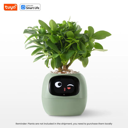 Tuya Smart Ivy Planter with AI Sensors