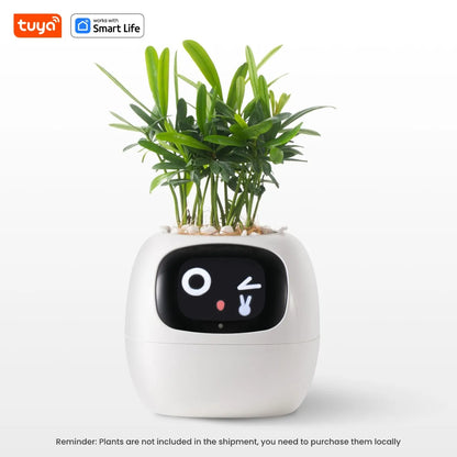 Tuya Smart Ivy Planter with AI Sensors