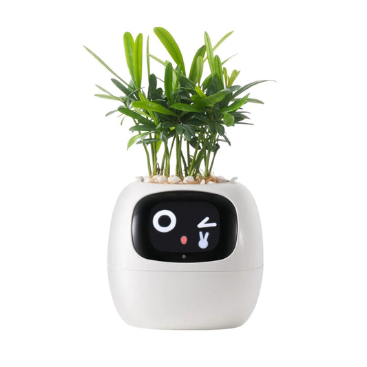 Tuya Smart Ivy Planter mit KI-Sensoren