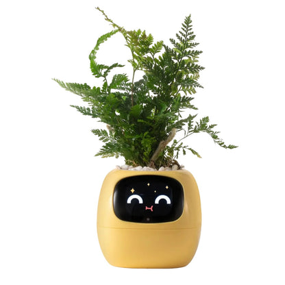 Tuya Smart Ivy Planter mit KI-Sensoren