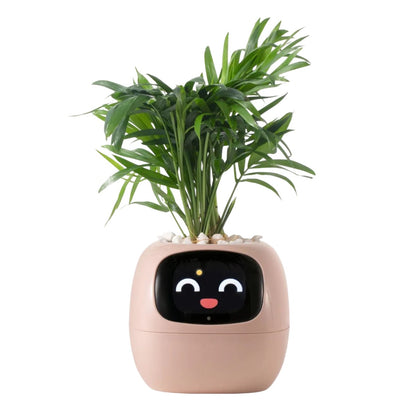 Tuya Smart Ivy Planter mit KI-Sensoren